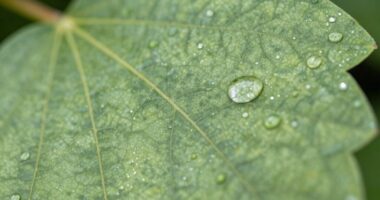authentic texture macro photography