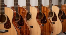top beginner acoustic guitars