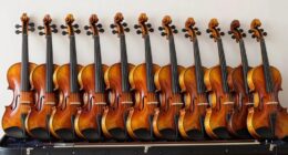 top intermediate violin sets