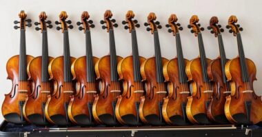 top intermediate violin sets