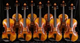 top violins for students