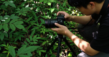 14 Best Wildlife Photography Books in 2026