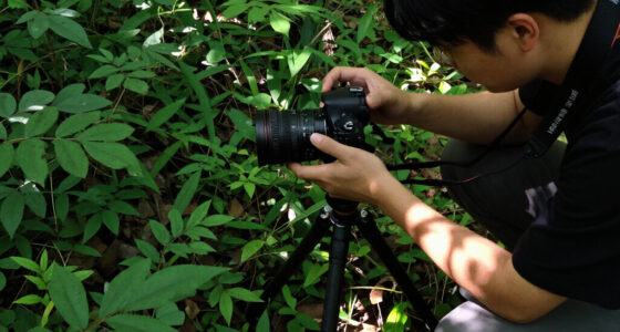 14 Best Wildlife Photography Books in 2026
