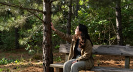 The Pine Trees That Would Not Leave Me