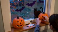 13 Best Halloween Window Decoration Kits for Spooky Displays in 2027