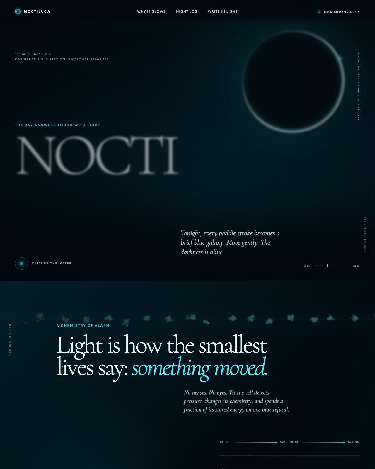 Live view of Noctiluca — The bay that answers in light