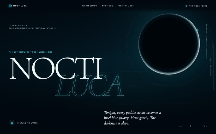 Noctiluca — The bay that answers in light — Disturbance-driven canvas